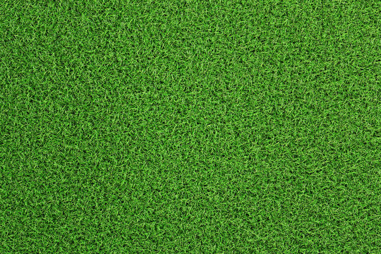 Detail Grass Texture Hd Nomer 48