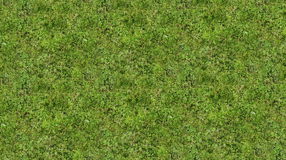 Detail Grass Texture Hd Nomer 9