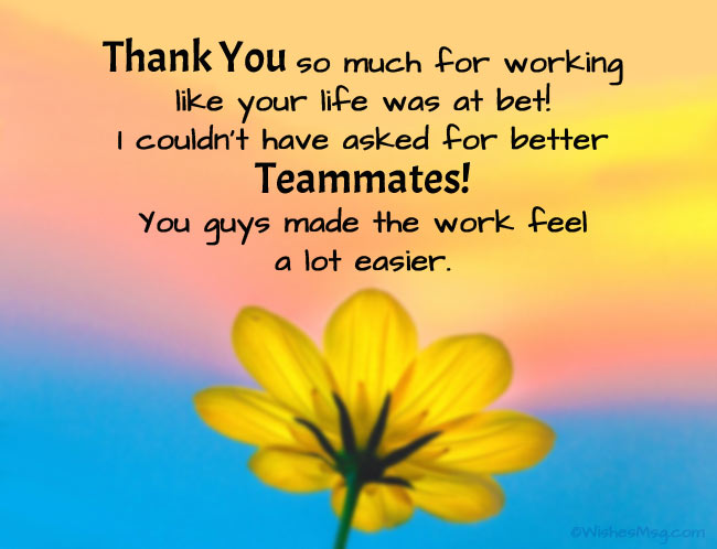 Detail Gratitude Quotes For Team Nomer 4