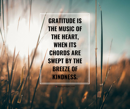 Detail Gratitude Quotes Images Hd Nomer 18