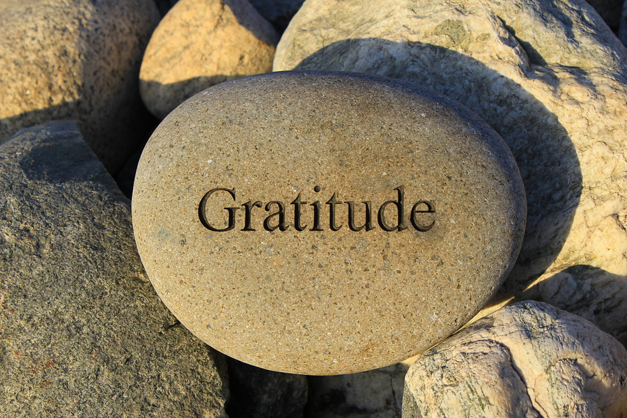 Detail Gratitude Quotes Images Hd Nomer 32