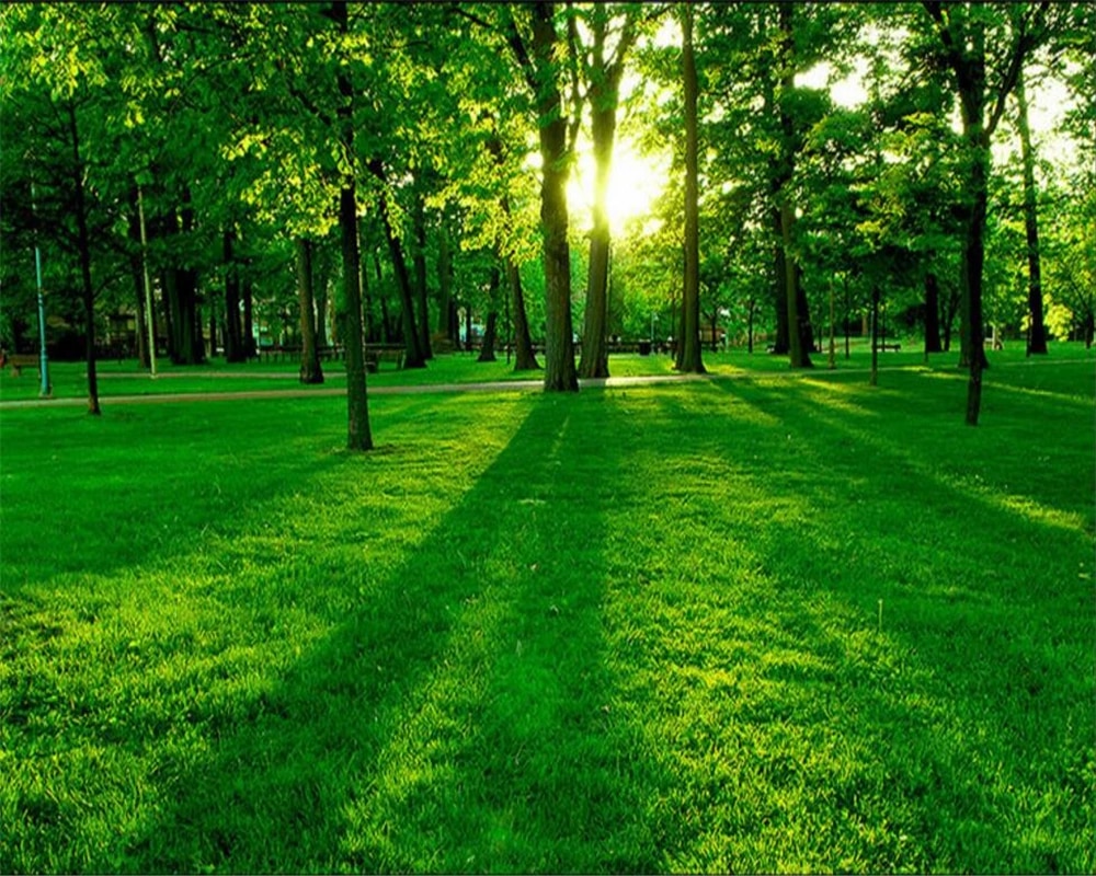 Detail Green Grass Wallpaper Nomer 22