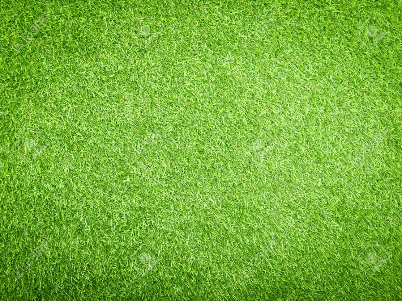 Detail Green Grass Wallpaper Nomer 35