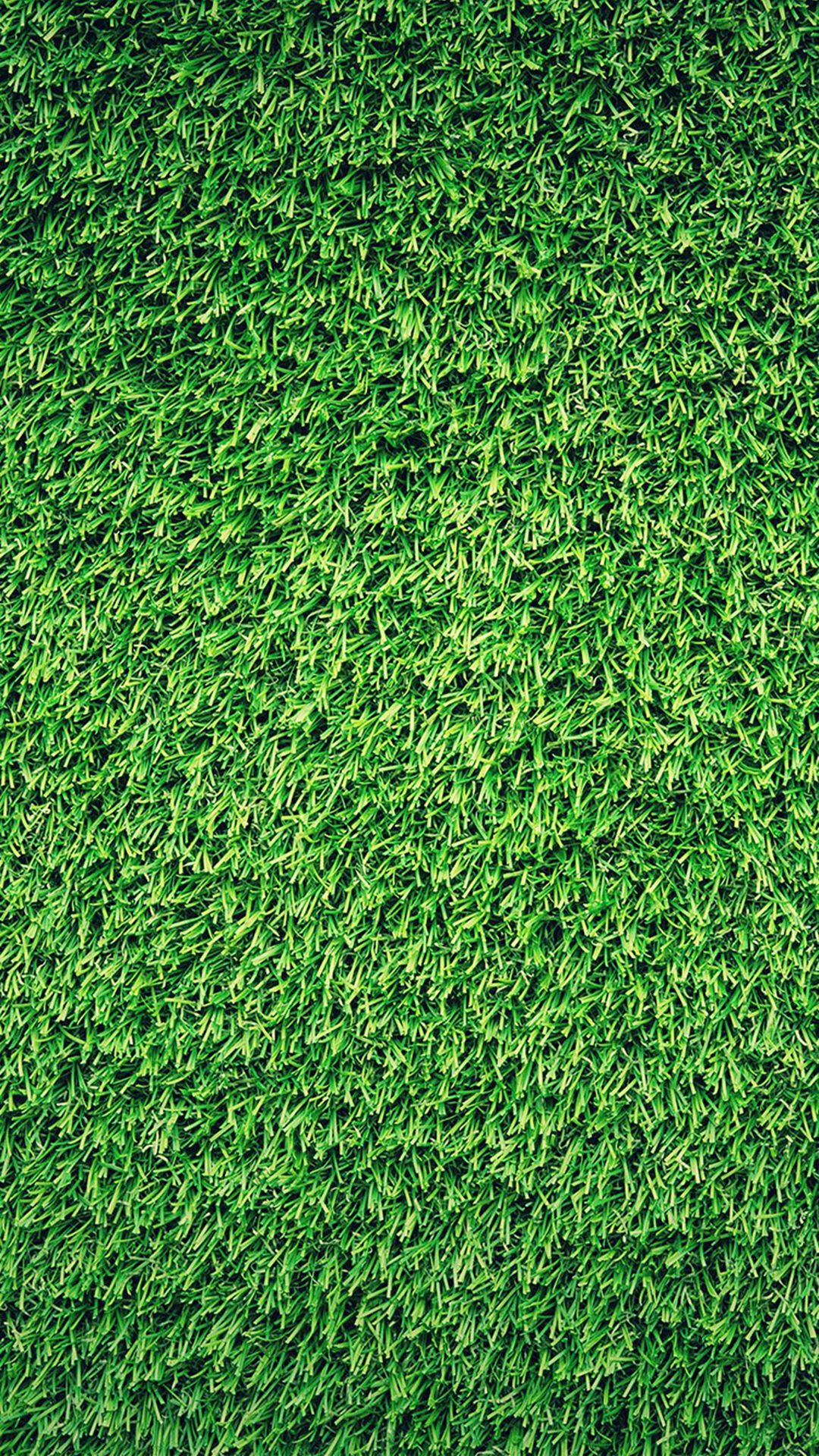 Detail Green Grass Wallpaper Nomer 6