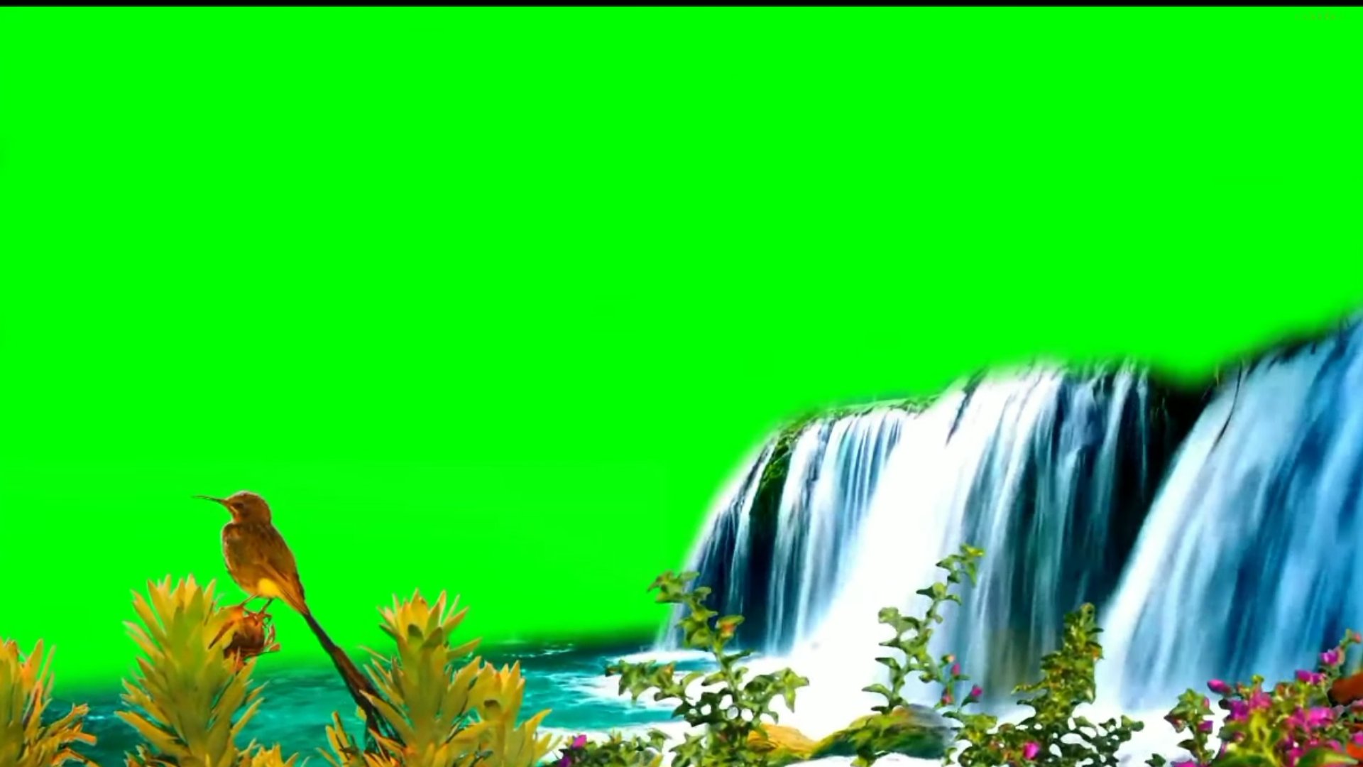 Detail Green Screen Effects Download Nomer 18