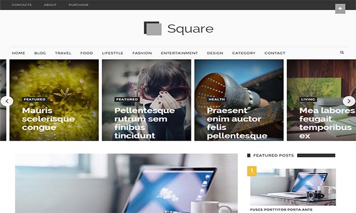 Detail Gridz Clean Responsive Blogger Template Nomer 42