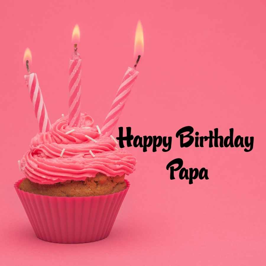 Detail Happy Birthday Papa Quotes In Hindi Nomer 49