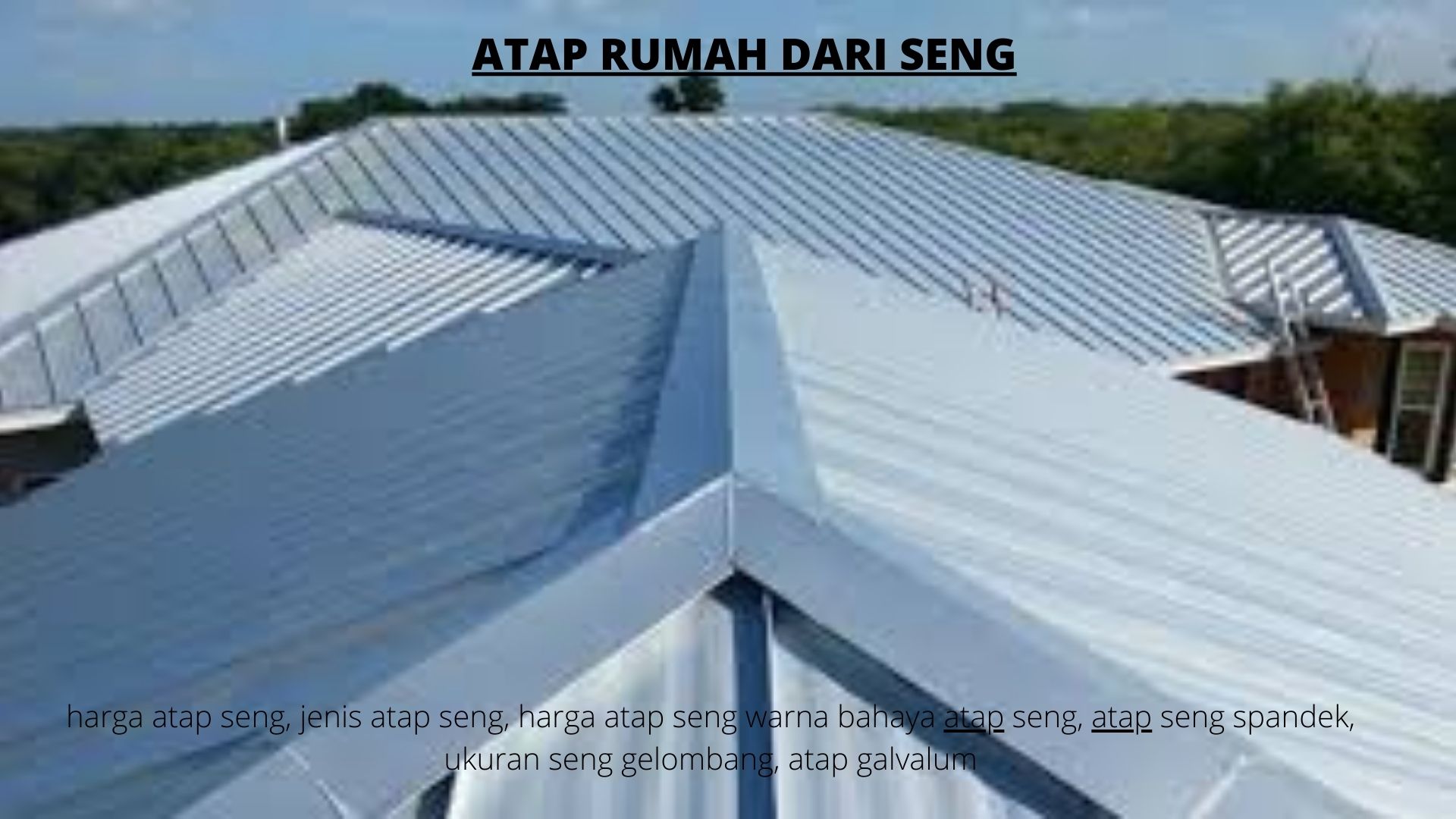 Detail Harga Atap Rumah Minimalis Nomer 39