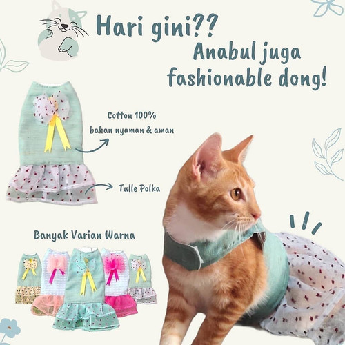 Detail Harga Baju Kucing Betina Nomer 3