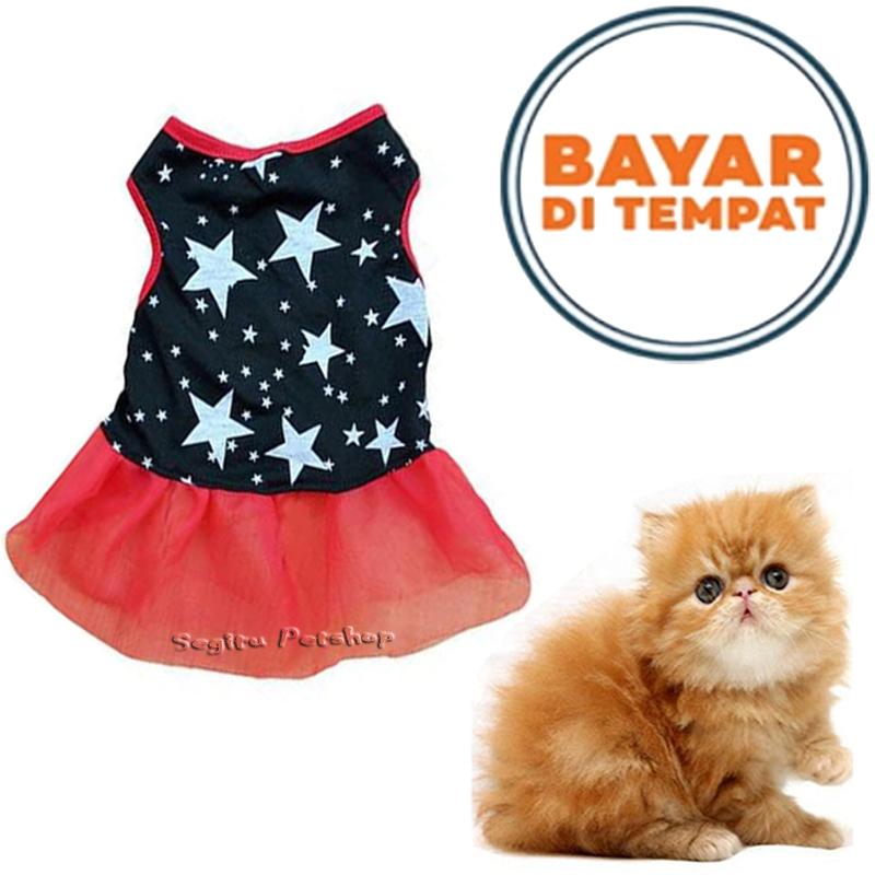 Detail Harga Baju Kucing Betina Nomer 6