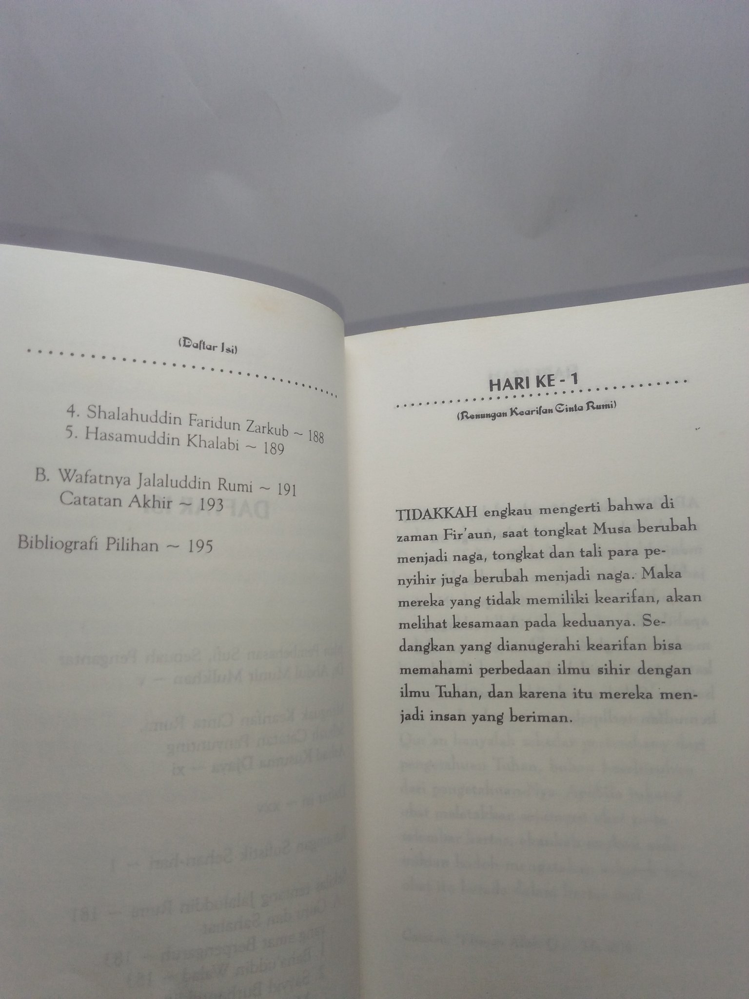 Detail Harga Buku Jalaludin Rumi Nomer 46