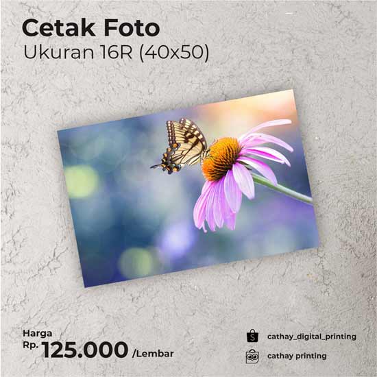 Detail Harga Cetak Foto 40x50 Nomer 11