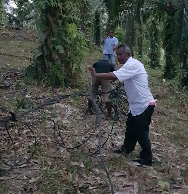 Detail Harga Kabel Pln Dari Tiang Ke Rumah Nomer 46