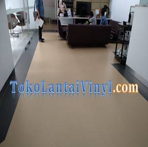 Detail Harga Lantai Vinyl Rumah Sakit Nomer 46