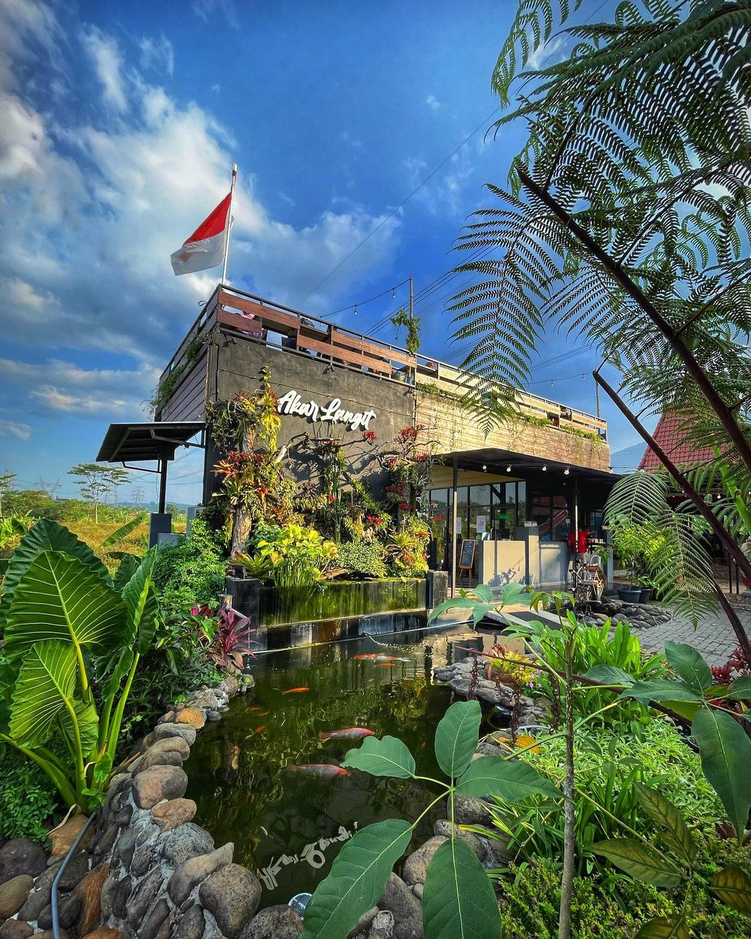 Detail Harga Masuk Rumah Akar Jakarta Nomer 43
