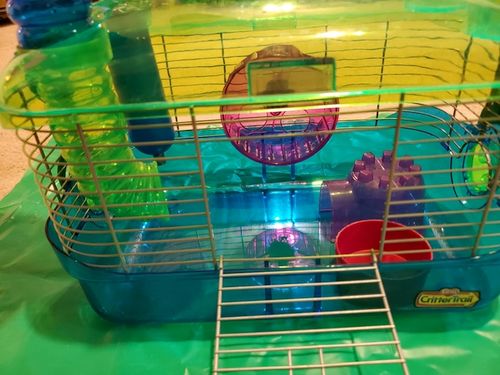 Detail Harga Rumah Hamster Nomer 26