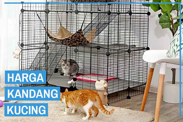 Detail Harga Rumah Kucing Nomer 16