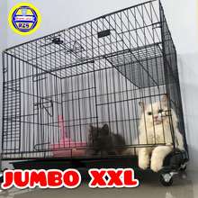 Detail Harga Rumah Kucing Nomer 23