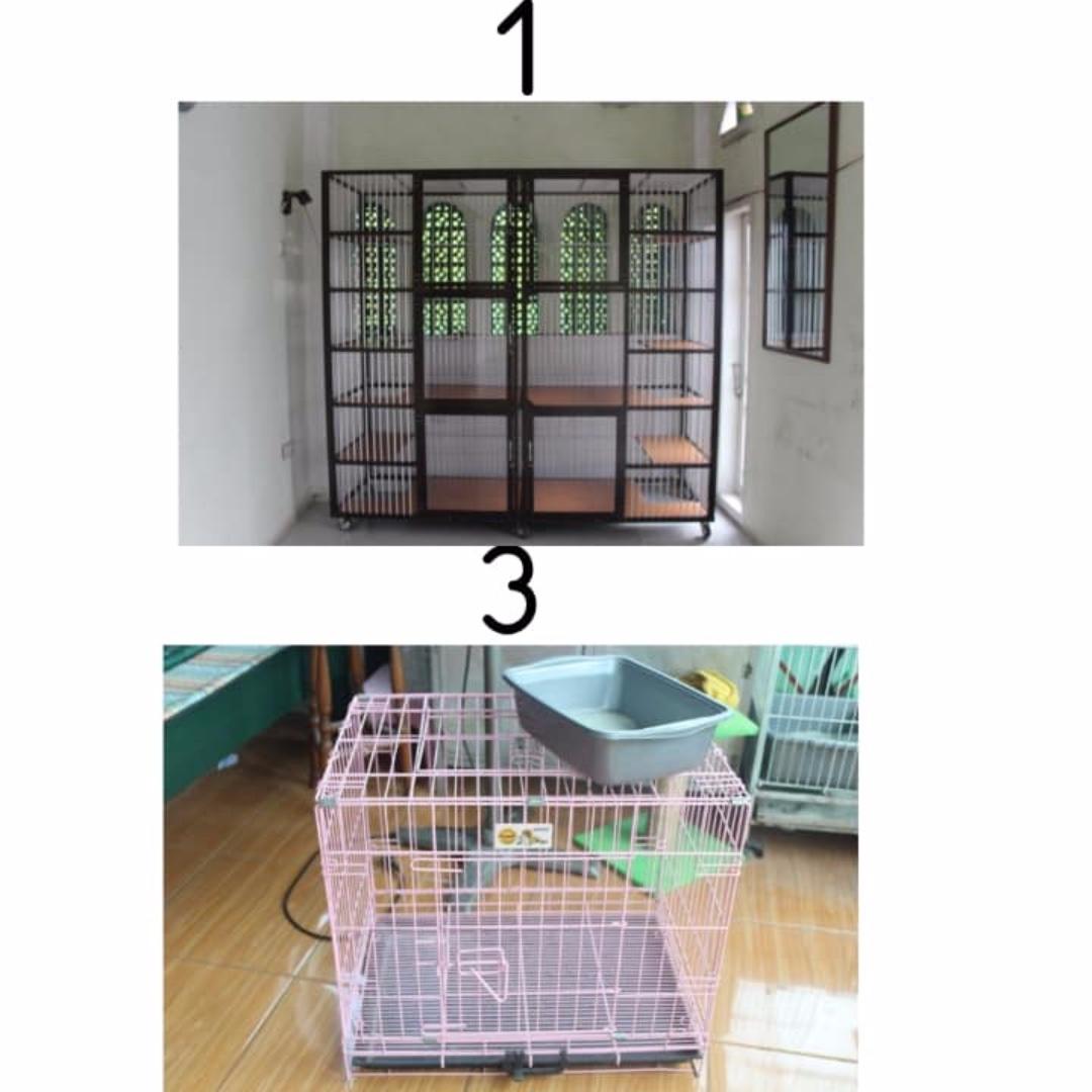 Detail Harga Rumah Kucing Nomer 24