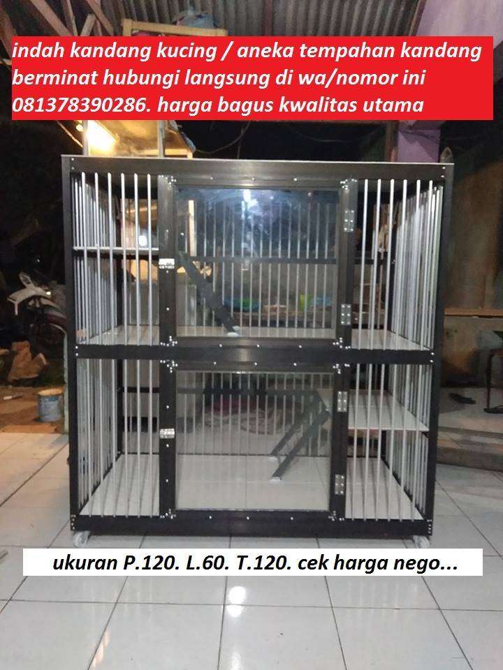 Detail Harga Rumah Kucing Nomer 36