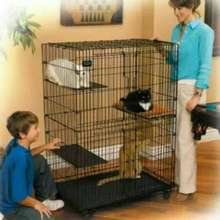 Detail Harga Rumah Kucing Nomer 42