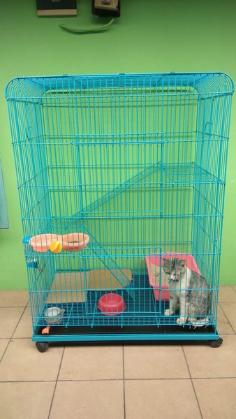 Detail Harga Rumah Kucing Nomer 8