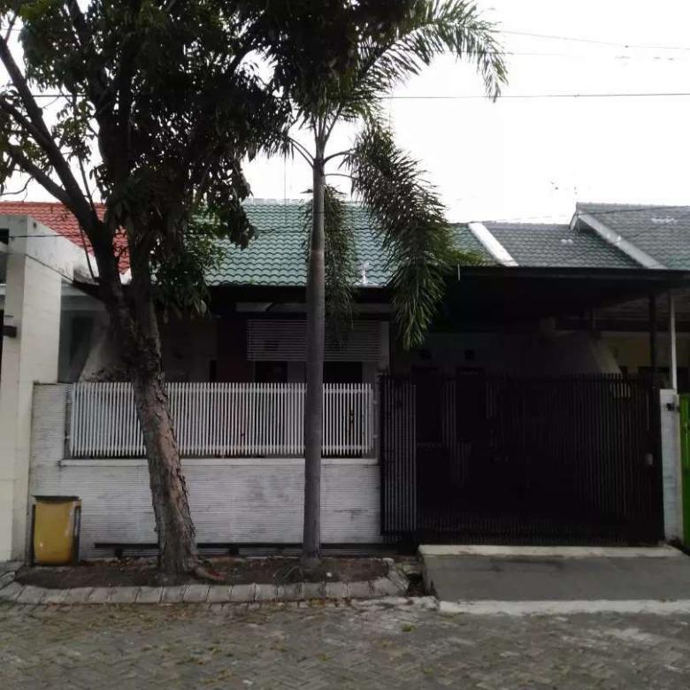 Detail Harga Rumah Sukolilo Dian Regency 1 Nomer 21