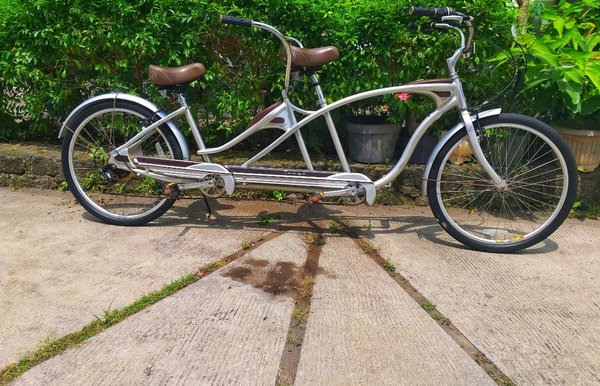 Detail Harga Sepeda Schwinn Nomer 44