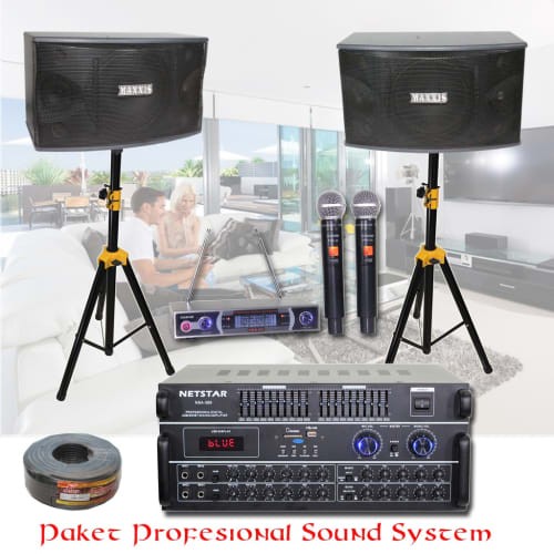 Detail Harga Sound System Karaoke Rumah Nomer 2