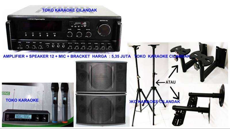 Detail Harga Sound System Karaoke Rumah Nomer 36