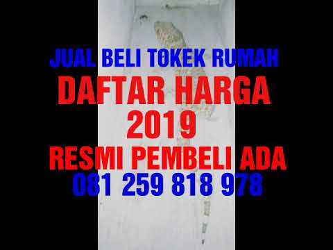 Detail Harga Tokek Rumah 2020 Nomer 7