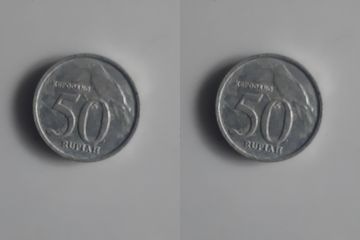 Detail Harga Uang Koin 50 Rupiah Gambar Cendrawasih Nomer 36