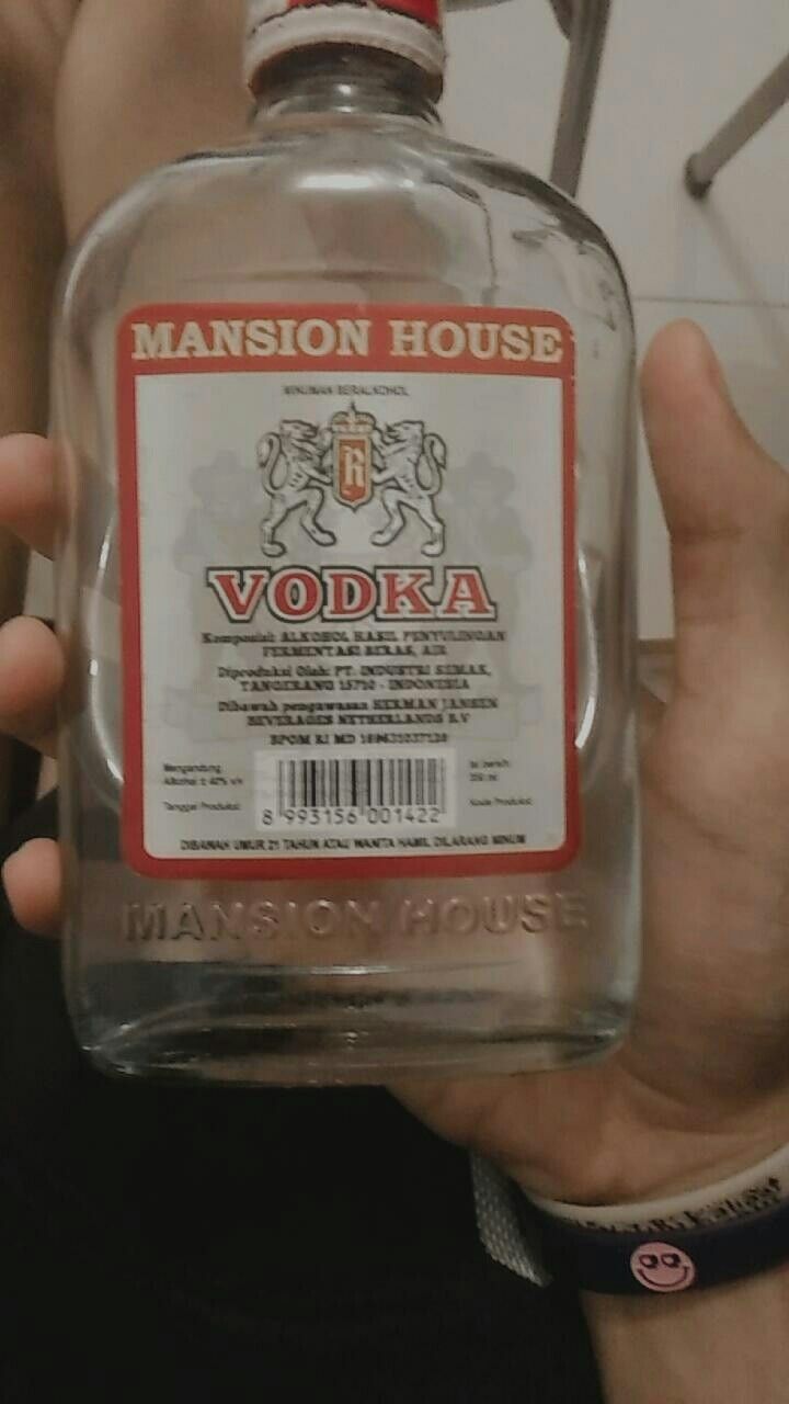 Detail Harga Vodka Gepeng Nomer 17