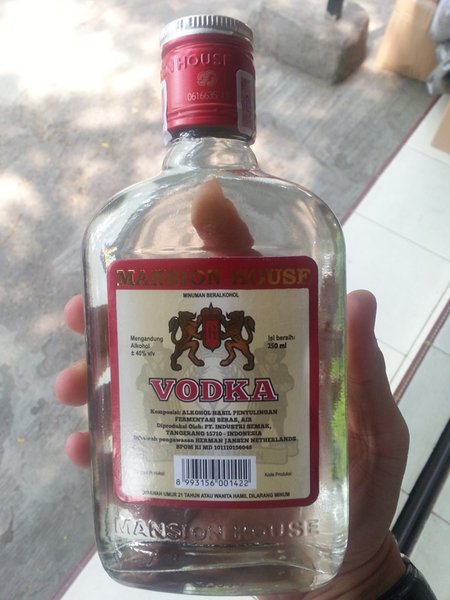 Detail Harga Vodka Gepeng Nomer 4