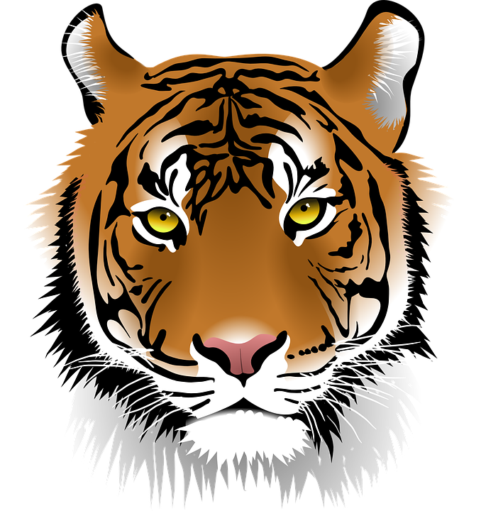 Detail Harimau Vektor Png Nomer 39