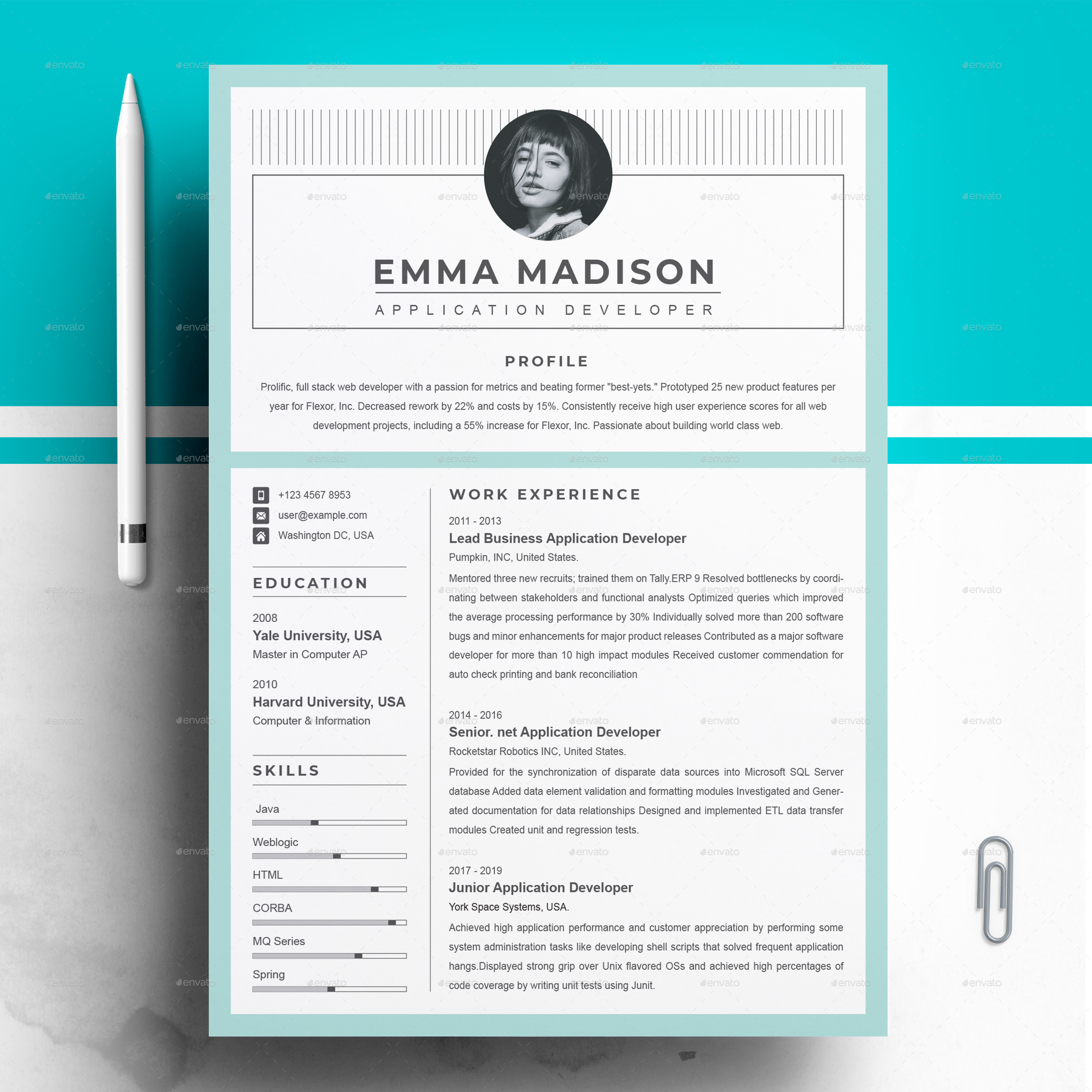 Detail Harvard Resume Template Nomer 40