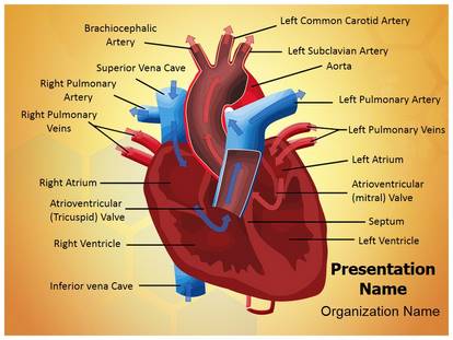 Detail Heartbeat Powerpoint Template Free Nomer 39