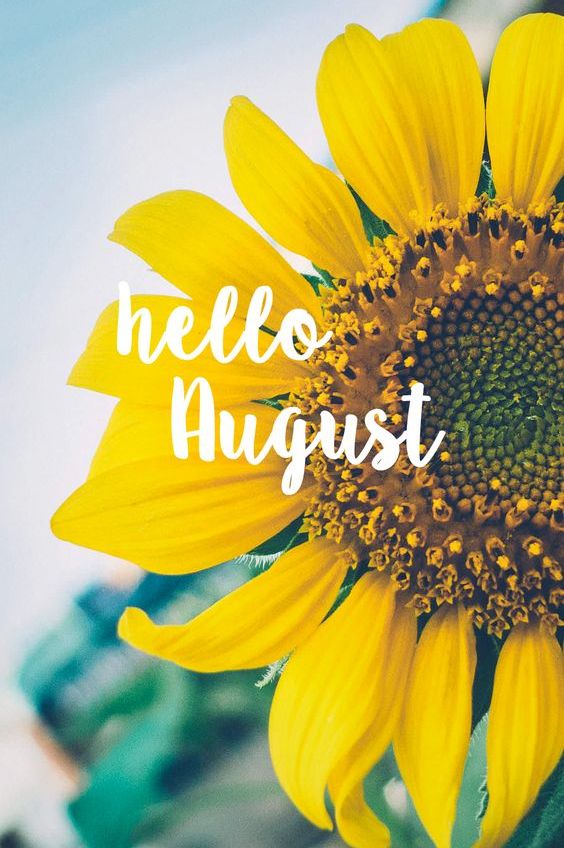 Detail Hello August Quotes Nomer 5