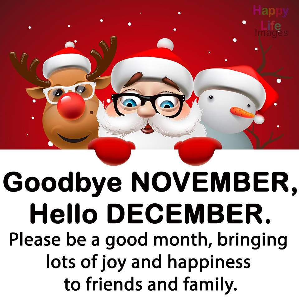 Detail Hello December Quotes Nomer 21