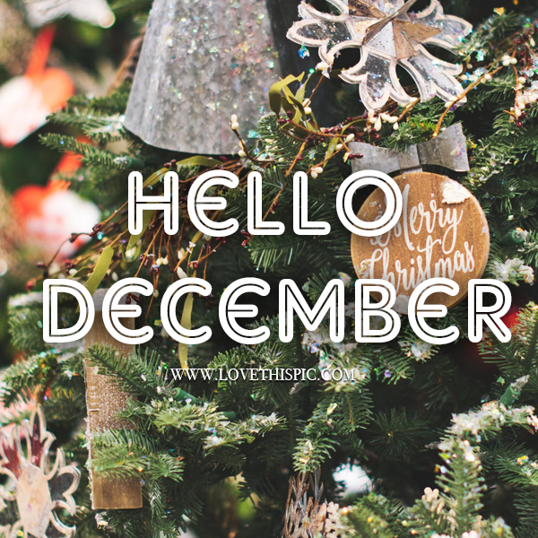 Detail Hello December Quotes Nomer 35