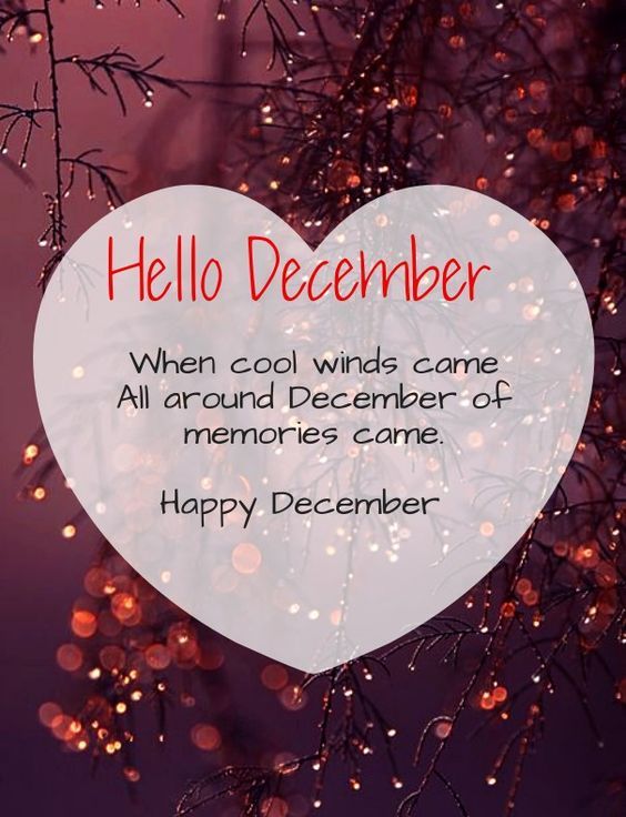 Detail Hello December Quotes Nomer 5