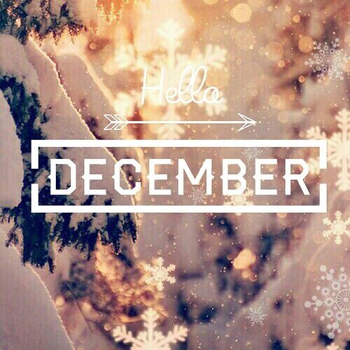 Detail Hello December Quotes Nomer 50