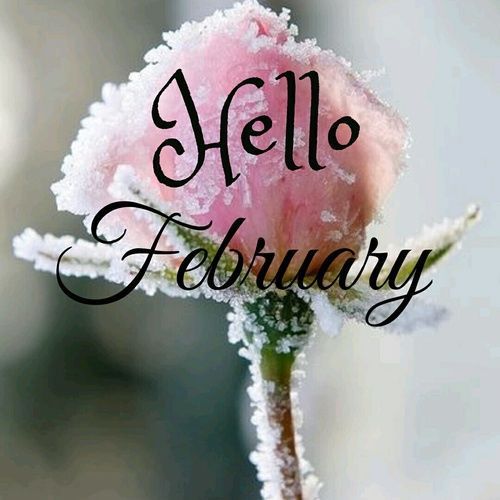 Detail Hello February Quotes Nomer 8