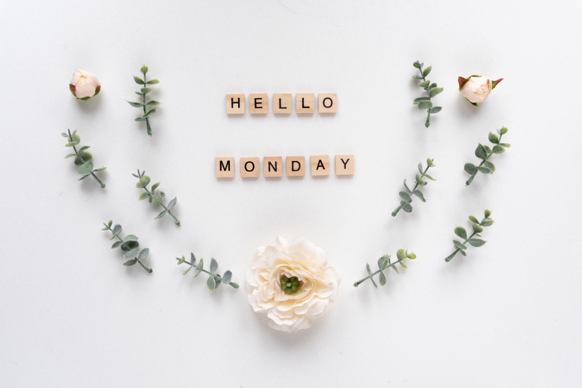 Detail Hello Monday Quotes Nomer 32