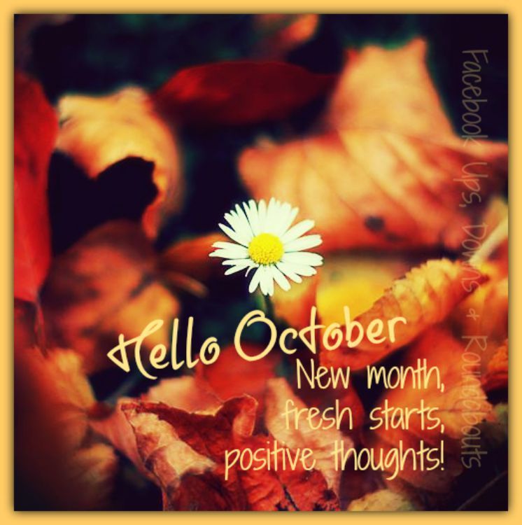 Detail Hello October Quotes Nomer 2
