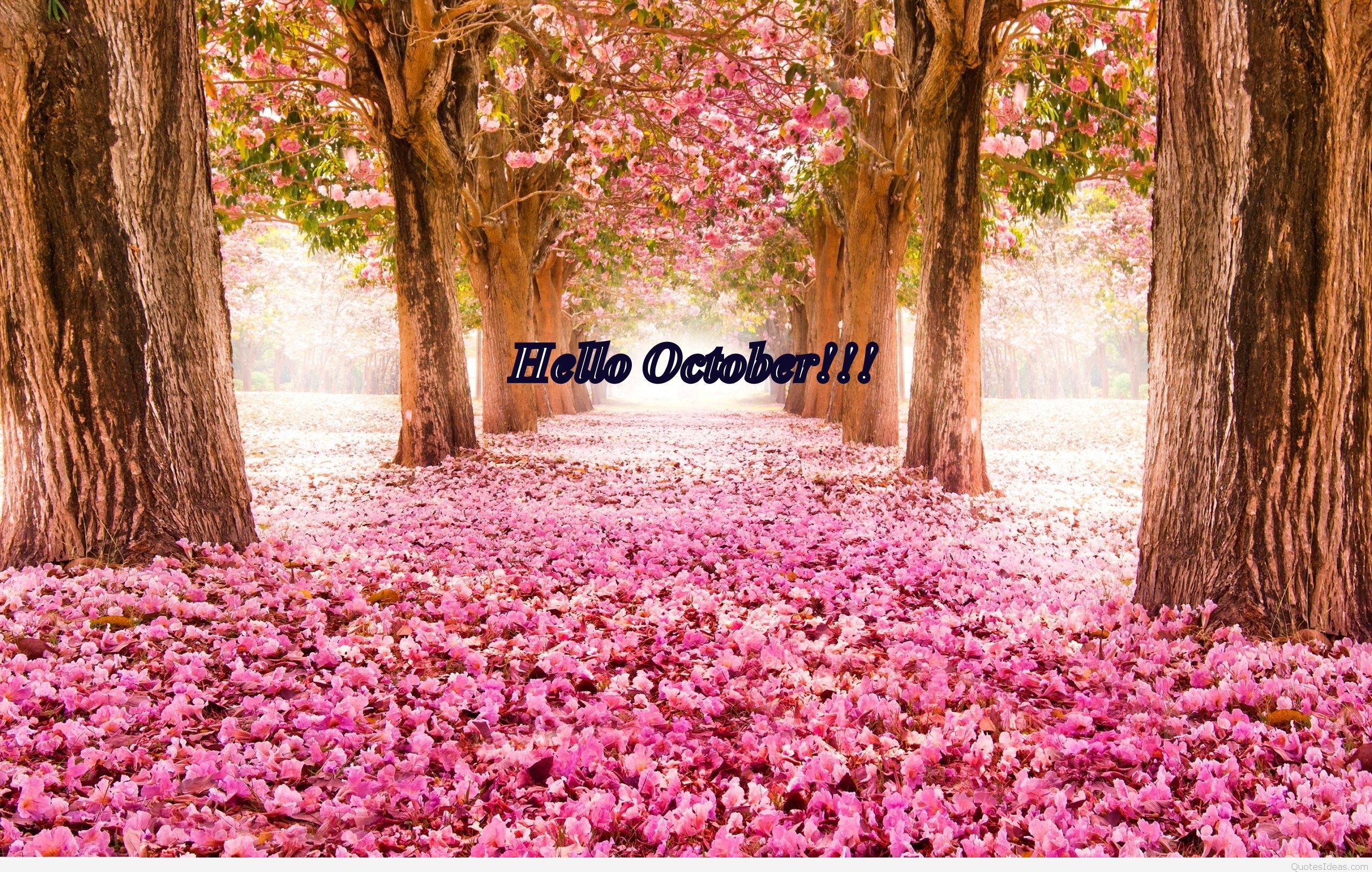Detail Hello October Quotes Nomer 11