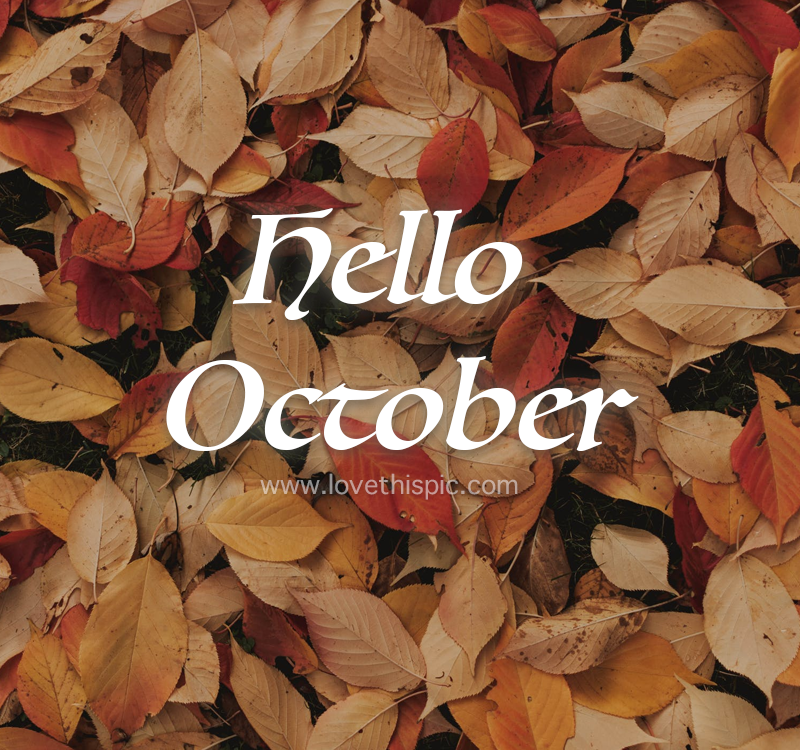 Detail Hello October Quotes Nomer 12