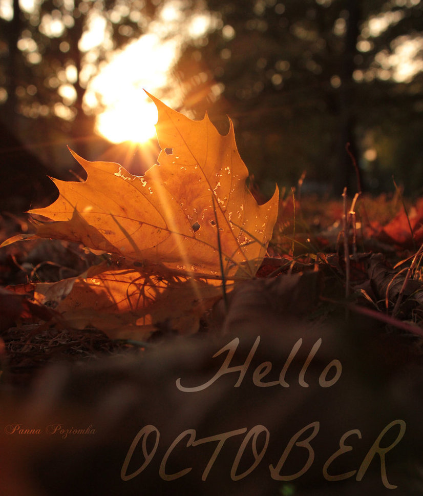 Detail Hello October Quotes Nomer 13