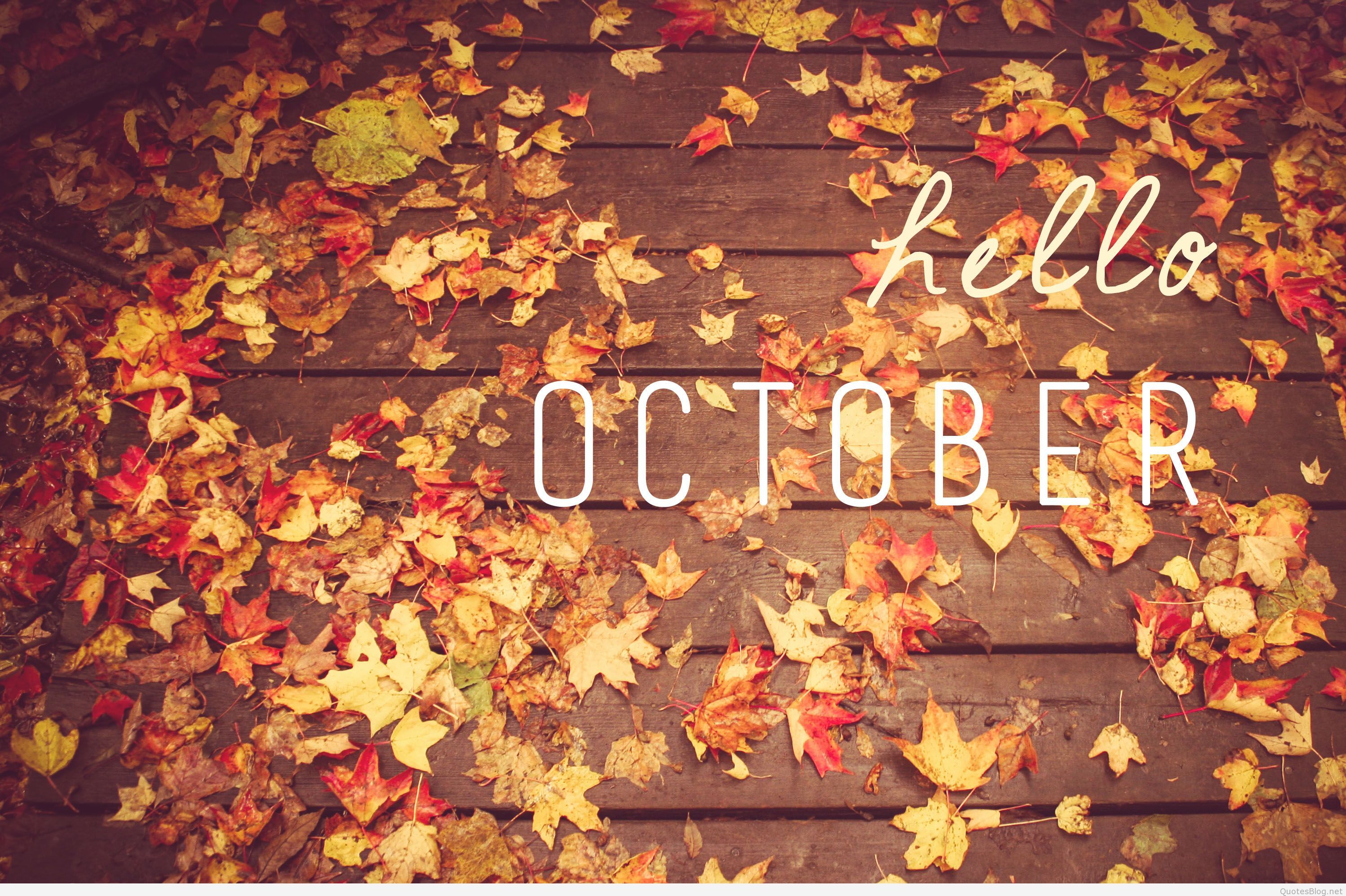 Detail Hello October Quotes Nomer 36