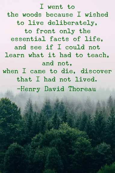 Detail Henry David Thoreau Quotes Nomer 9
